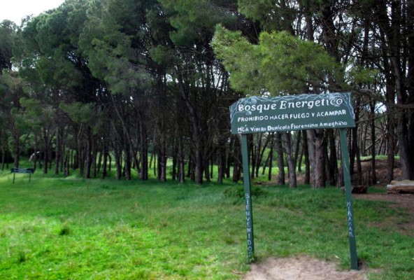 Miramar: surf y un bosque “encantado”