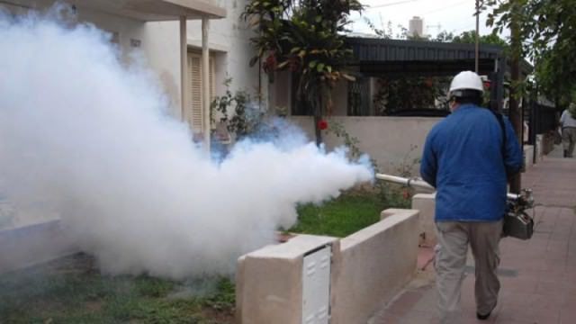 Dengue: Alertan por ladrones que se hacen pasar por fumigadores