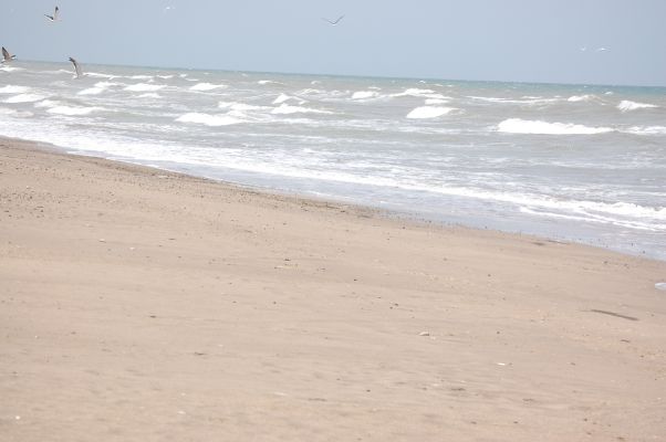 Mar del Sud: Apareció la embarcación