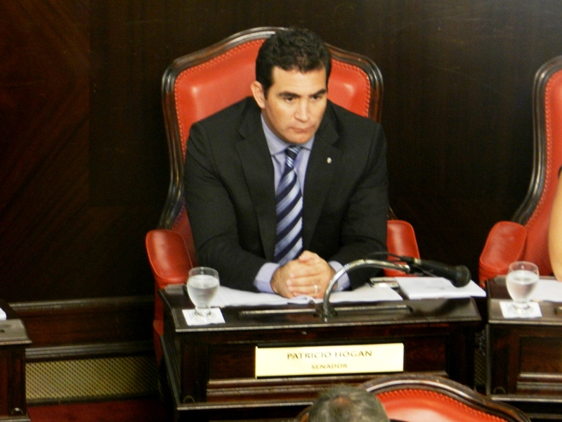 Proyecto de ley del Senador Hogan para la reinserción social de menores institucionalizados