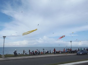 DSCF2215