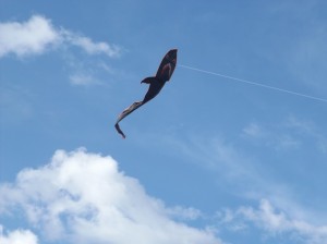 DSCF2235