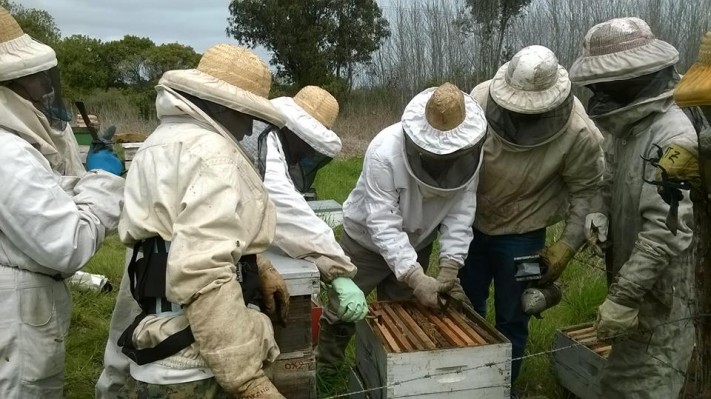 Fortalecimiento para incrementar la producción