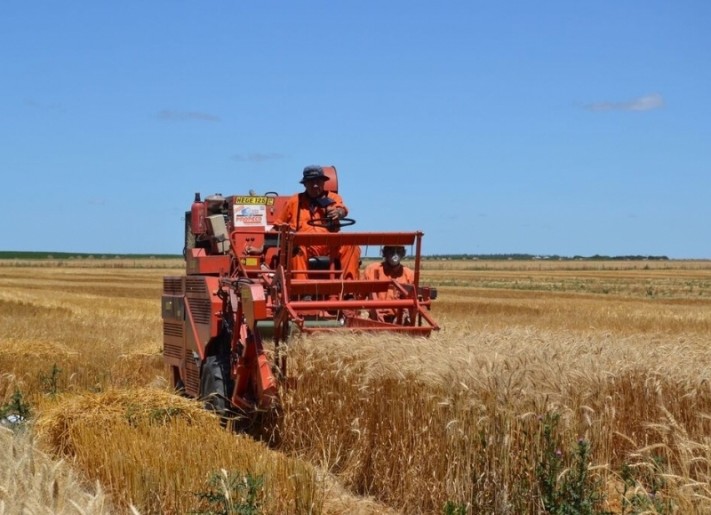 Mechongué: Buscan potenciar la producción de cultivos de invierno en la Provincia