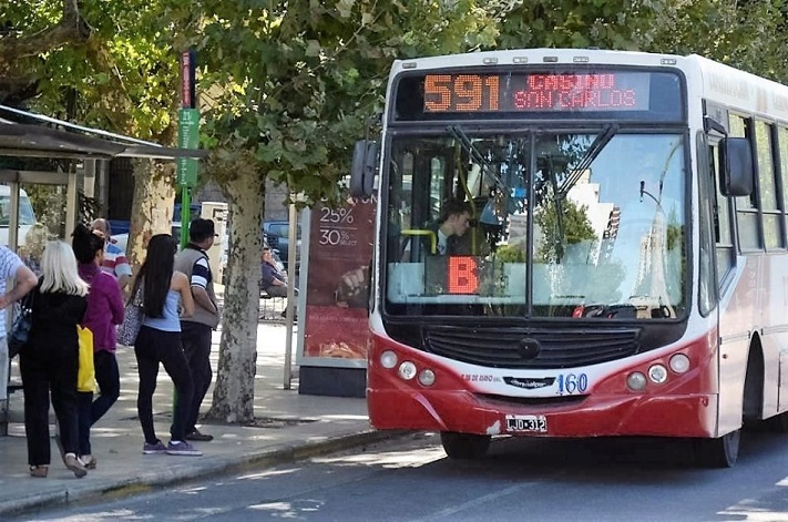 Armados con ametralladoras asaltaron un colectivo en Mar del Plata