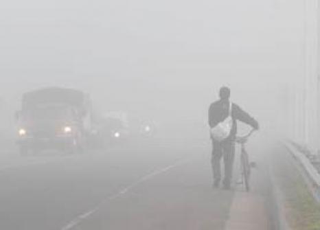 La Nota Curiosa: ¿Cuál es la diferencia entre niebla y neblina?