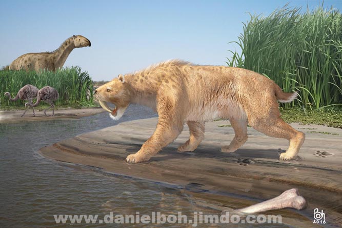 Miramar: Hallan huellas de Tigre Dientes de Sable