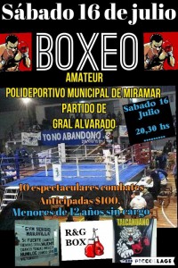 aficheboxeo