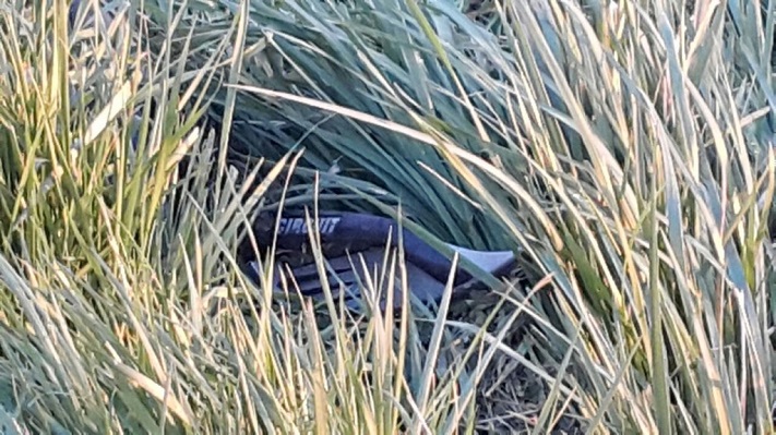 Encontraron muerto al marplatense desaparecido en la ruta 2