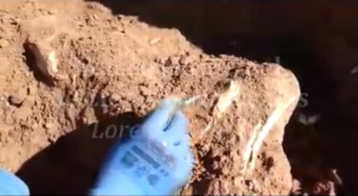 Impresionante hallazgo en la zona de Chapadmalal