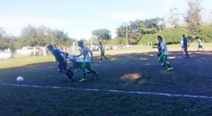 mitre