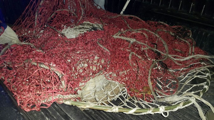 Mar del Plata: Murió un empleado de Defensa Civil tras sufrir una descompensación en la captura de un puma