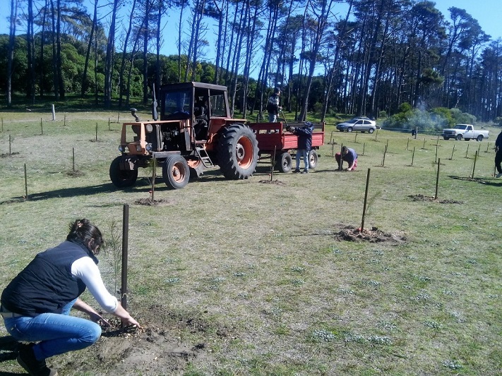 Miramar: comenzó el Programa Anual de Forestación en el vivero dunícola
