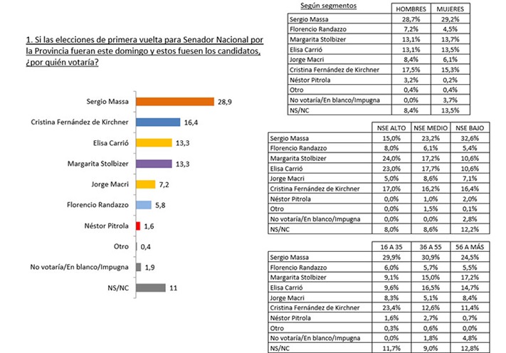 Encuesta 2017: Massa 28,9, CFK 16,4, Elisa Carrió y Stolbizer 13,3