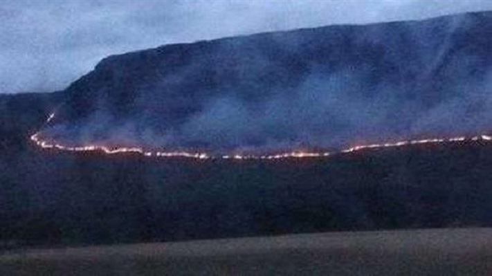 Ocho dotaciones de bomberos y un avión intentan sofocar un incendio de más de 1000 héctareas en Balcarce