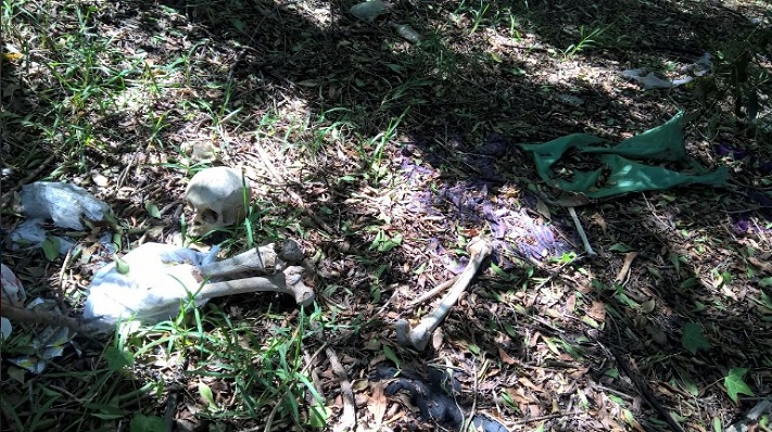 Encuentran restos humanos en ruta 11, en la zona de Los Acantilados