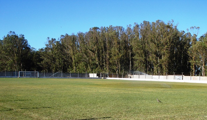 Arreglos y mejoras en el estadio General Alvarado