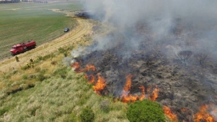 El fuego afectó a más de mil hectáreas en Balcarce