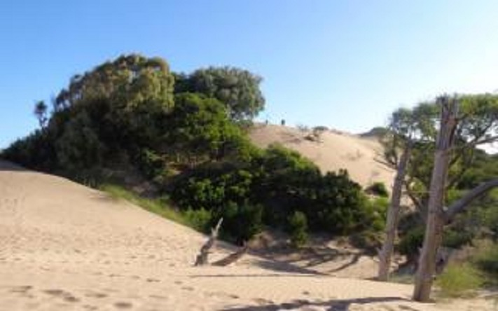 Villa Gesell: Se le encajó el auto en la arena, se perdió y apareció muerta