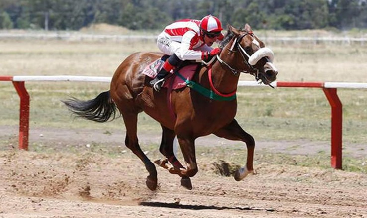 Elías Martinez, el jockey otamendino que correrá en San Isidro