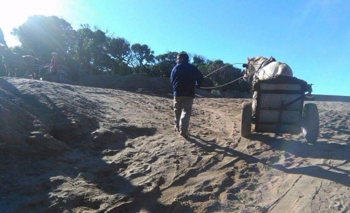 Desbaratan banda que robaba arena y la vendía a corralones de Mar del Plata y la zona