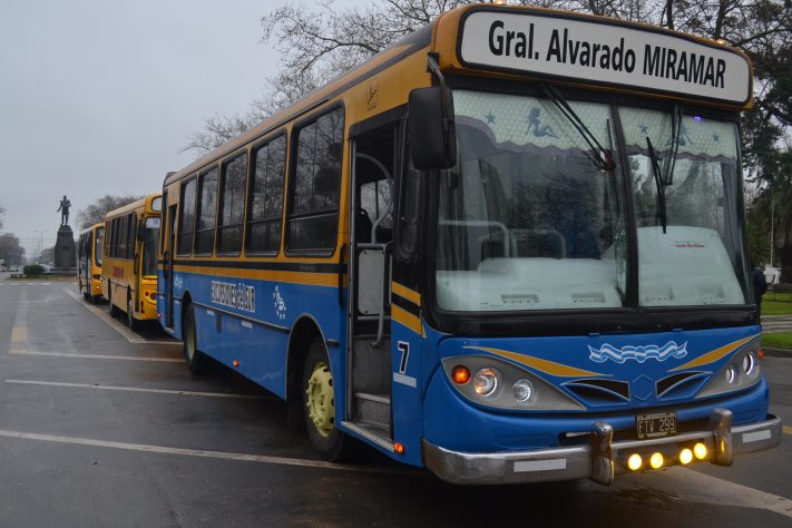 Gral. Alvarado: desde el 31 de julio empieza a transitar el transporte público