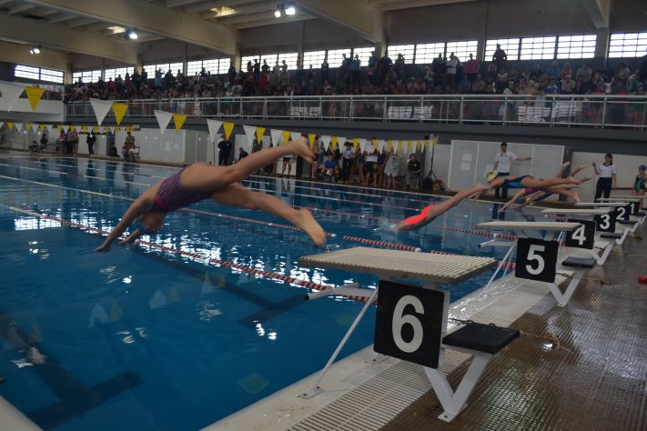 Miramar: Se llevó a cabo el Torneo de Natación Regional local