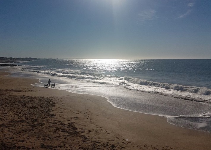 Miramar y zona: se espera un domingo nublado y con buena temperatura