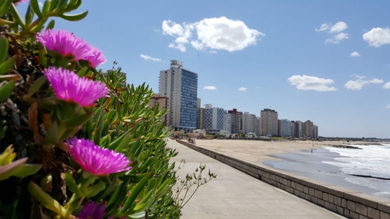El tiempo para Miramar y zona: ¿cómo estará el miércoles?