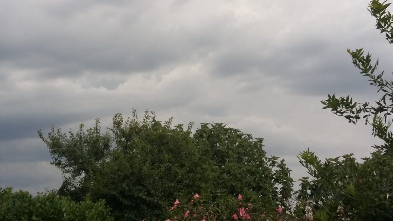 Miramar y zona: se prevén tormentas “aisladas” para el último domingo de enero