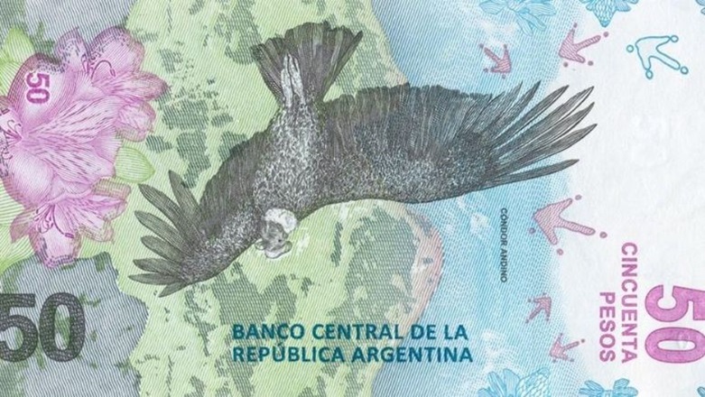 Comienza a circular el billete de $50 con la imagen del cóndor