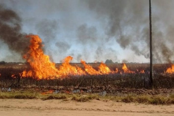 Encuentran un cadáver calcinado en un incendio en la ruta 88