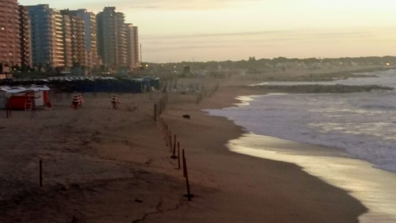 Miramar y zona: así estará el clima este viernes y el fin de semana