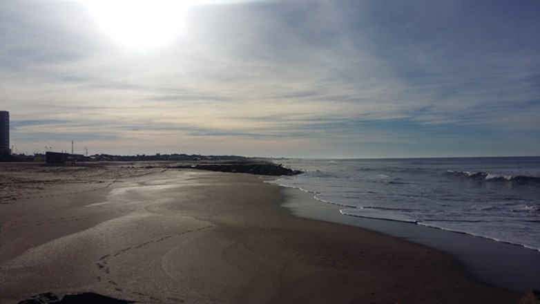 Jornada de sábado con limpieza de playas en Miramar