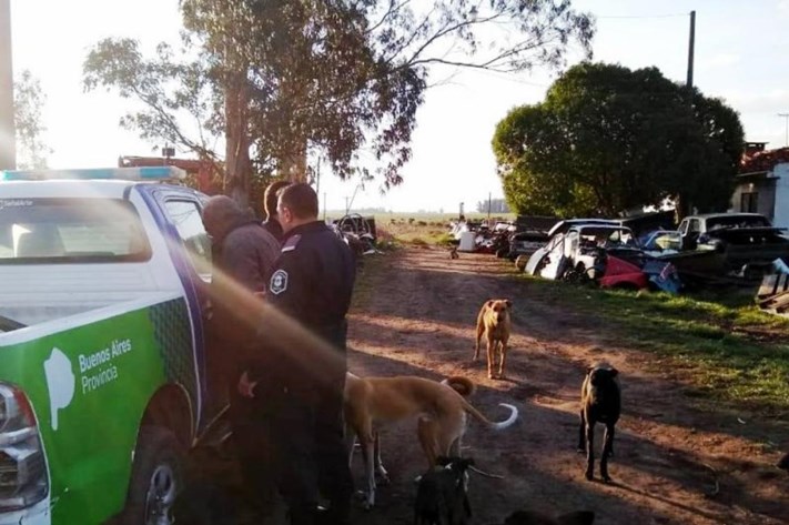 Desbaratan un desarmadero ilegal de autos en Miramar
