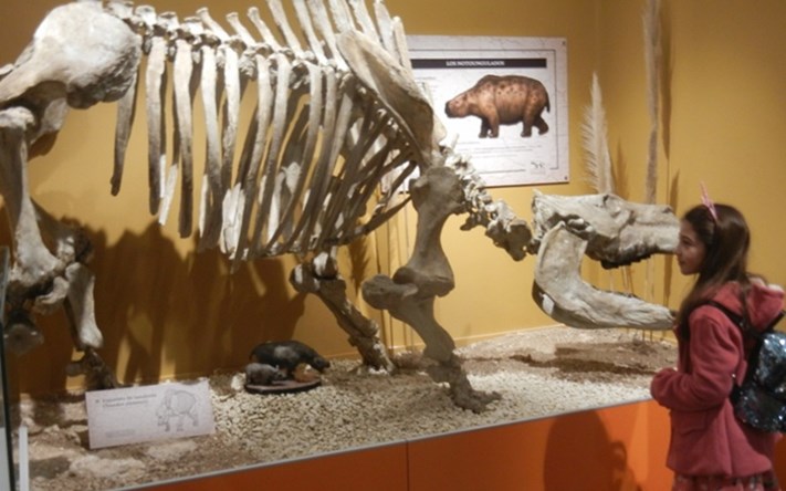 Estrechan vínculos con el Museo de Ciencias Naturales de Miramar