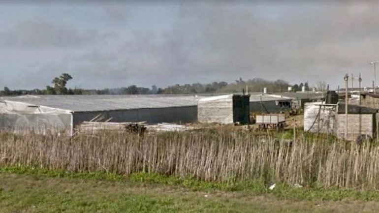 La Plata: murió una mujer que fue alcanzada por un rayo mientras trabajaba en un campo