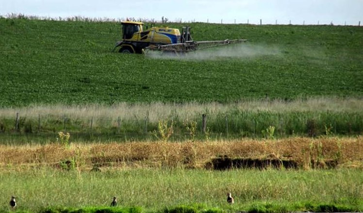 Mar del Plata: denuncian nuevas fumigaciones en El Marquesado y Los Lobos