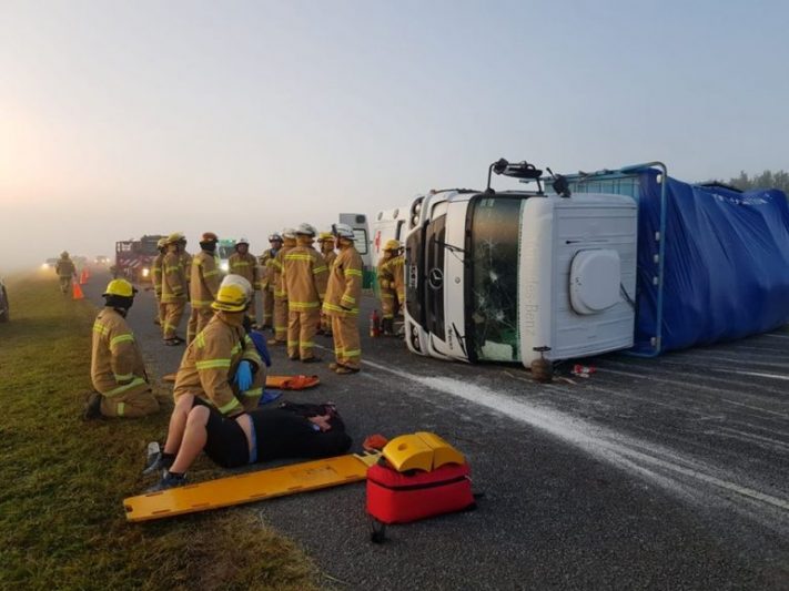 Un toro suelto provocó un triple choque en la ruta 2: hay dos heridos
