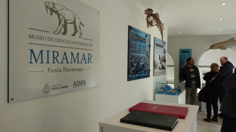 Miramar: el Museo Municipal ofrece un “tour virtual”
