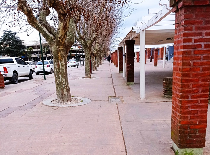 Covid-19 en Gral Alvarado: hay cinco nuevos casos.