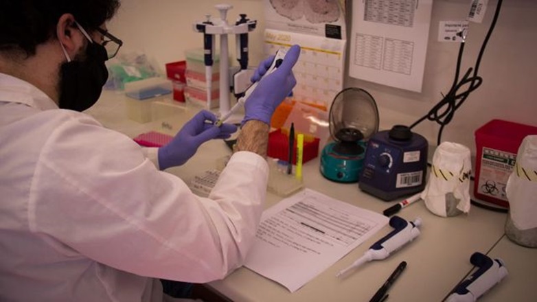 Coronavirus en Argentina: la ivermectina demostró respuesta antiviral