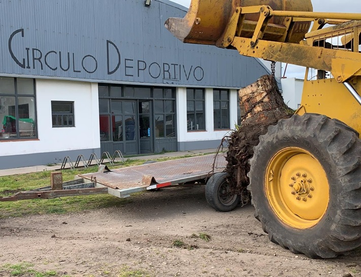 Circulo Deportivo no afloja: continúan los trabajos en su campo de deportes