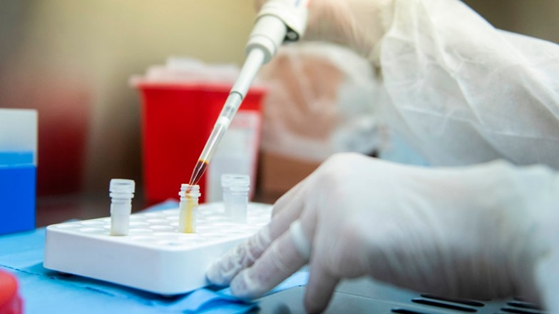 Investigadores argentinos lograron neutralizar el coronavirus con anticuerpos derivados de llamas y huevos