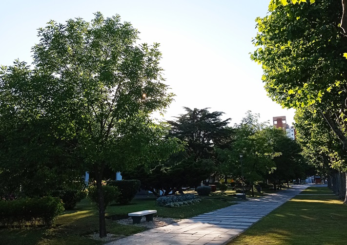 Miramar y zona: así estará el tiempo para este jueves