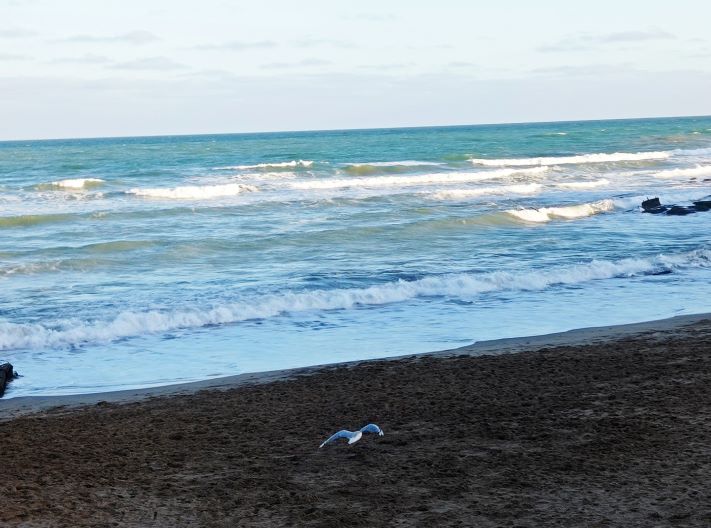 Cómo estará el tiempo este domingo en Miramar y zona