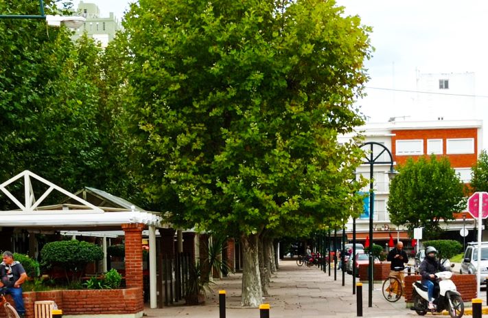 Miramar y zona: así estará el tiempo para este viernes