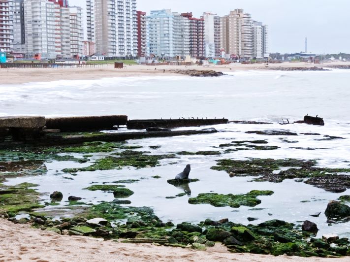 Miramar y zona: así estará el tiempo para este jueves
