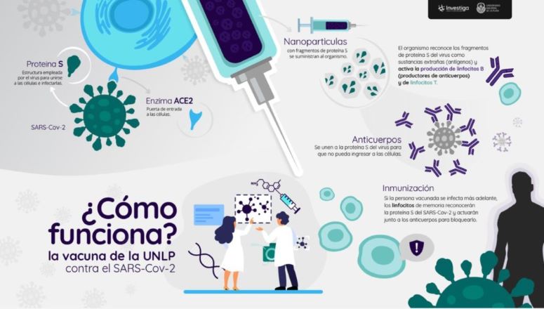 La vacuna contra el coronavirus que impulsa la UNLP logró financiamiento para avanzar