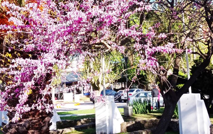 Lunes otra vez sobre la ciudad: así estará el tiempo
